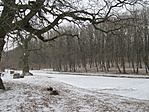 IMG_7540