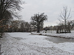 IMG_7542