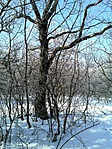 DSC00007