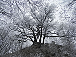 P1290039