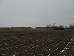 P1290103