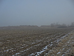 DSC09428