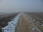 DSC09429