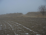 DSC09437