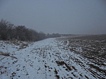 DSC09435