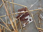 DSC09459