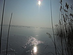 DSC09464