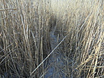 DSC09466