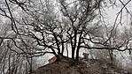 20170129_080653