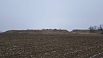 20170129_140541_001