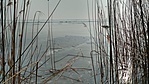 IMG_20170122_122302_HDR