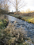 IMG_1741