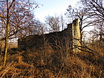 IMG_1756