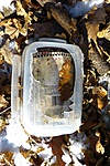 P1250027