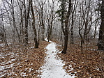 20170129_103349