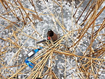 20170129_120801