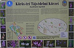 A mocsári kardvirágért júniusban visszatérek