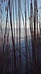 IMG_20170115_152351
