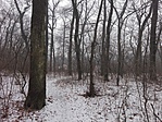 IMG_20170122_090916