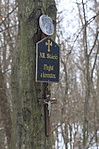 Magyarpolány 028