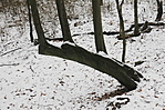 Magyarpolány 034