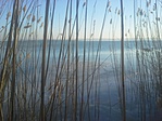 20170107_150436