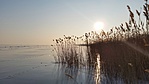20170120_152330