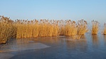 20170120_152657