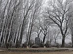 20170102_121143