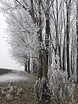 20170102_120801