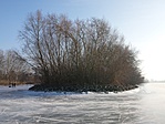 20170122_144033