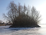 20170122_144115