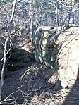 SAM_0044a