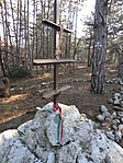 SAM_0037a