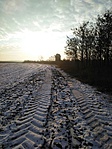 IMG_20170119_081322