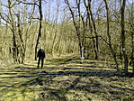 IMG_20170225_114729[1]
