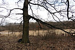 P1080339