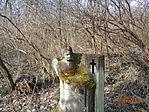 DSC00512