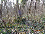 DSC00504