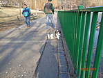 DSC00525