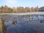 DSC00523
