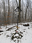 IMG_7711