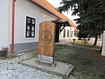 IMG_7731