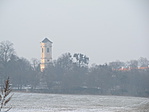 IMG_7733