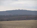 IMG_8458