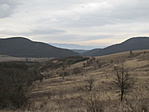 IMG_8459