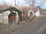 IMG_8464