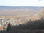 IMG_8587