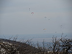 IMG_8627