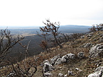 IMG_8631